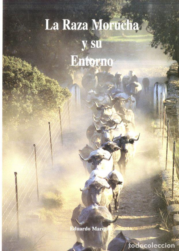 Libros: LA RAZA MORUCHA Y SU ENTORNO - EDUARDO MARQUES - Foto 1