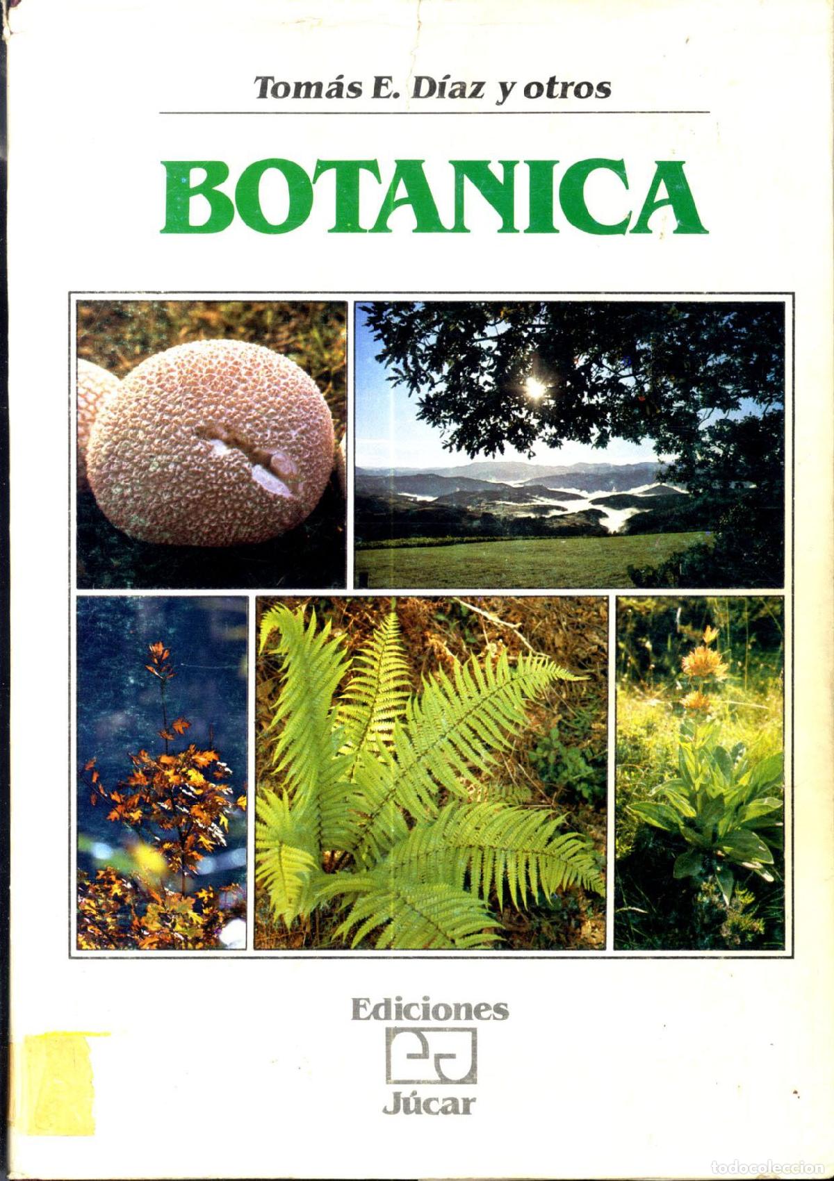Libros: BOTANICA - TOMAS E. D&Iacute;AZ Y OTROS - Foto 1