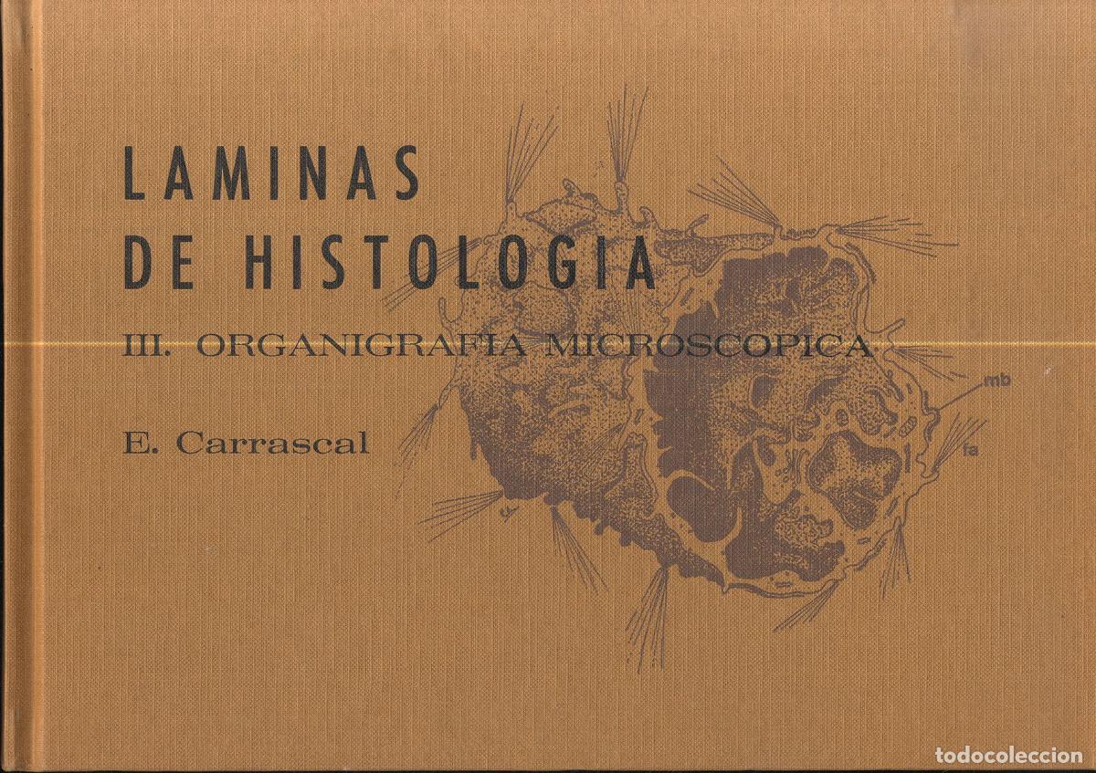 Libros: LAMINAS DE HISTOLOGIA III. ORGANIGRAF&Iacute;A MICROSCOPICA - E. CARRASCAL - Foto 1