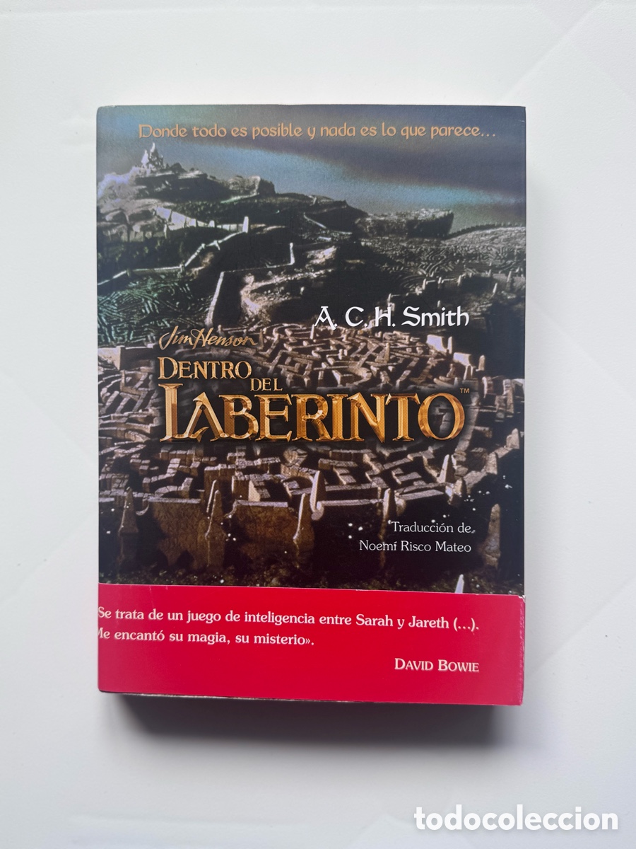 Libros: Dentro del laberinto (Spanish Edition) - Foto 1