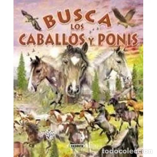 Libros: BUSCA LOS CABALLOS Y PONIS - AAVV - Foto 1