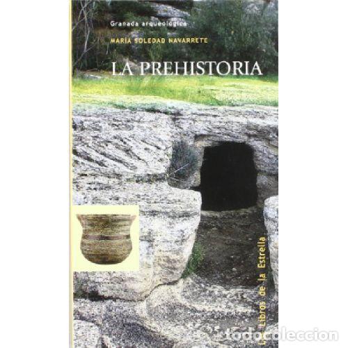 Libros: LA PREHISTORIA - NAVARRETE, SOLEDAD - Foto 1