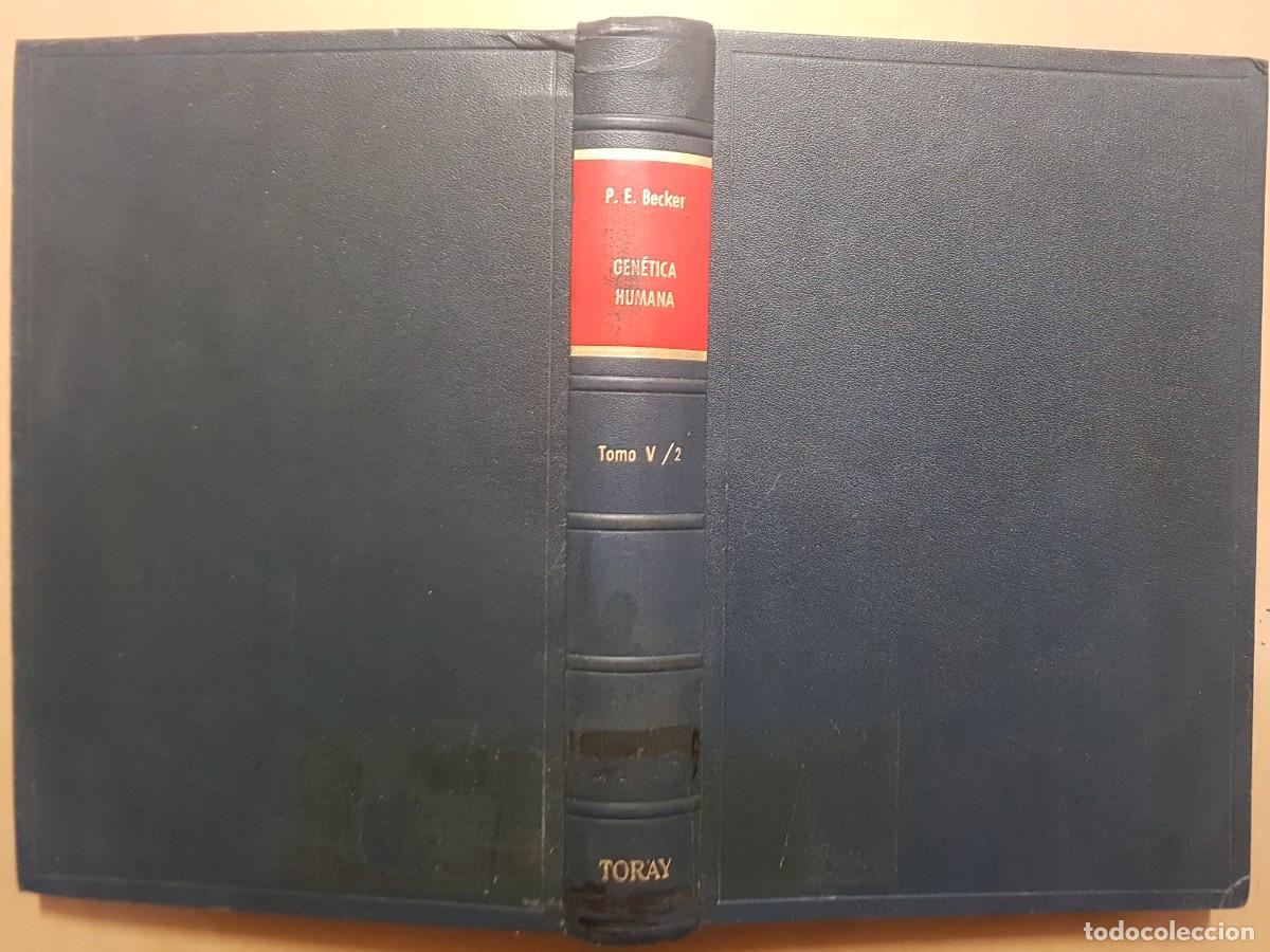 Libros: GEN&Eacute;TICA HUMANA V/2 - D.BECKER - ED. TORAY - 1966 (ILUST) - Foto 1