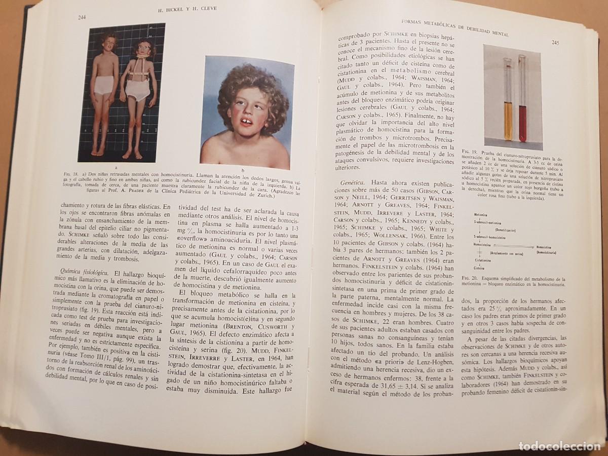 Libros: GEN&Eacute;TICA HUMANA V/2 - D.BECKER - ED. TORAY - 1966 (ILUST) - Foto 14