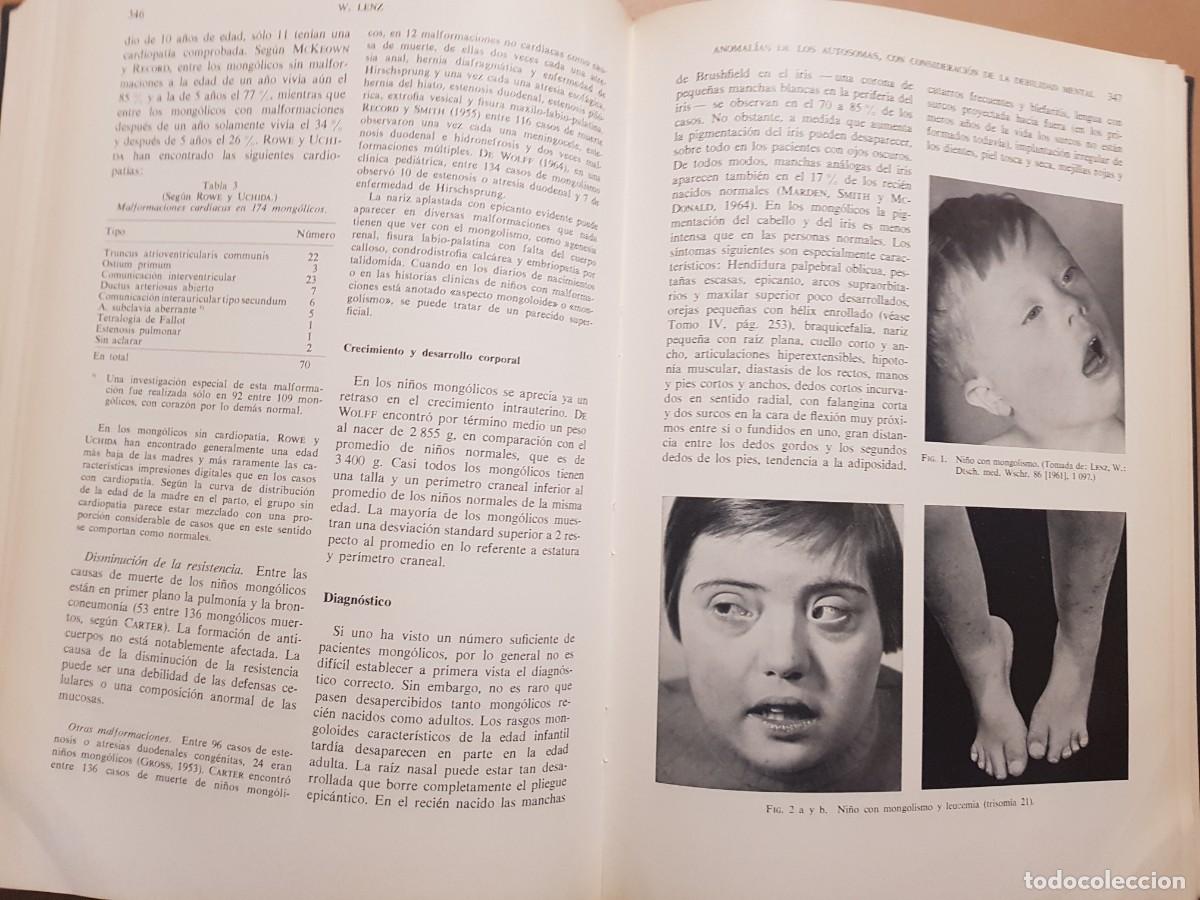 Libros: GEN&Eacute;TICA HUMANA V/2 - D.BECKER - ED. TORAY - 1966 (ILUST) - Foto 18