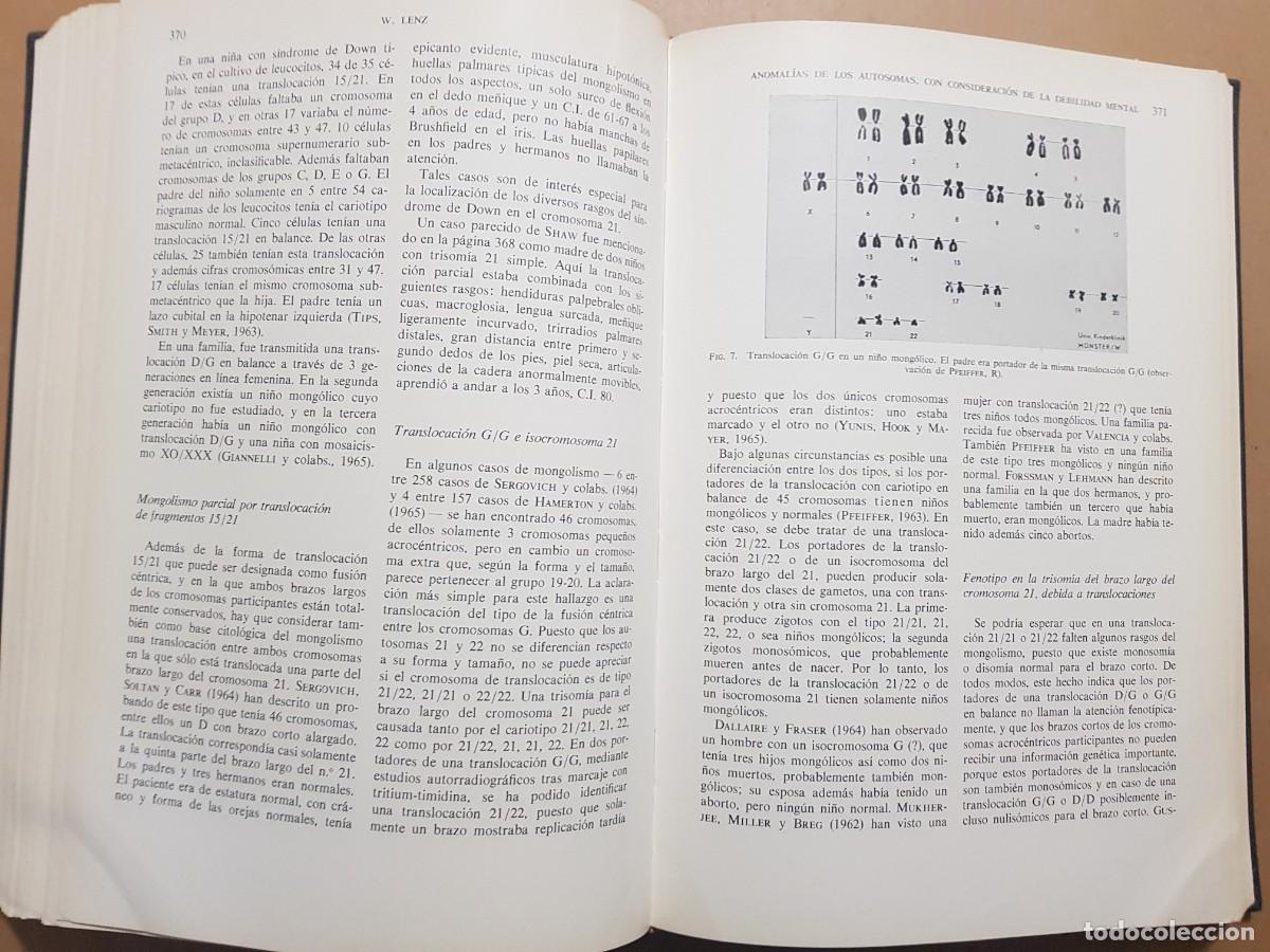 Libros: GEN&Eacute;TICA HUMANA V/2 - D.BECKER - ED. TORAY - 1966 (ILUST) - Foto 19