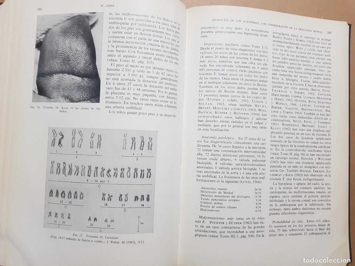 Libros: GEN&Eacute;TICA HUMANA V/2 - D.BECKER - ED. TORAY - 1966 (ILUST) - Foto 20