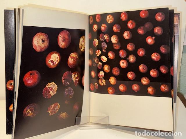 Libros: CRISTOBAL TORAL - Foto 2