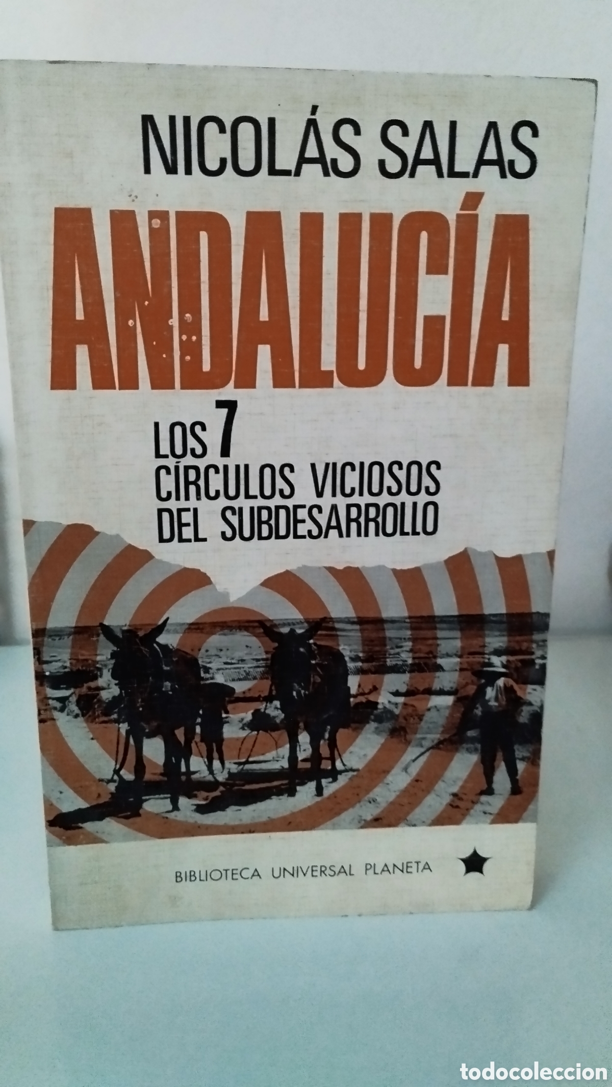 Libros: ANDALUC&Iacute;A - nicol&aacute;s salas - Foto 1