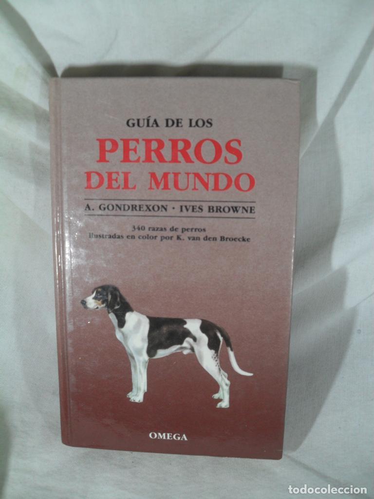 Libros: GUIA DE LOS PERROS DEL MUNDO - A GONDREXON - IVES BROWNE - Foto 1