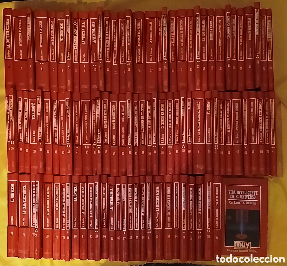 Libros: Biblioteca de divulgaci&oacute;n cientifica - Foto 1