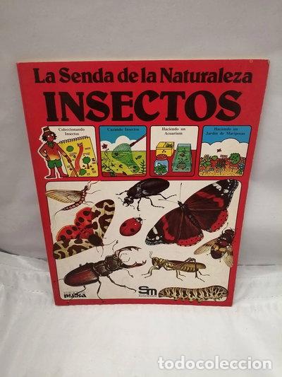 B&uuml;cher: Insectos- 9788473740227