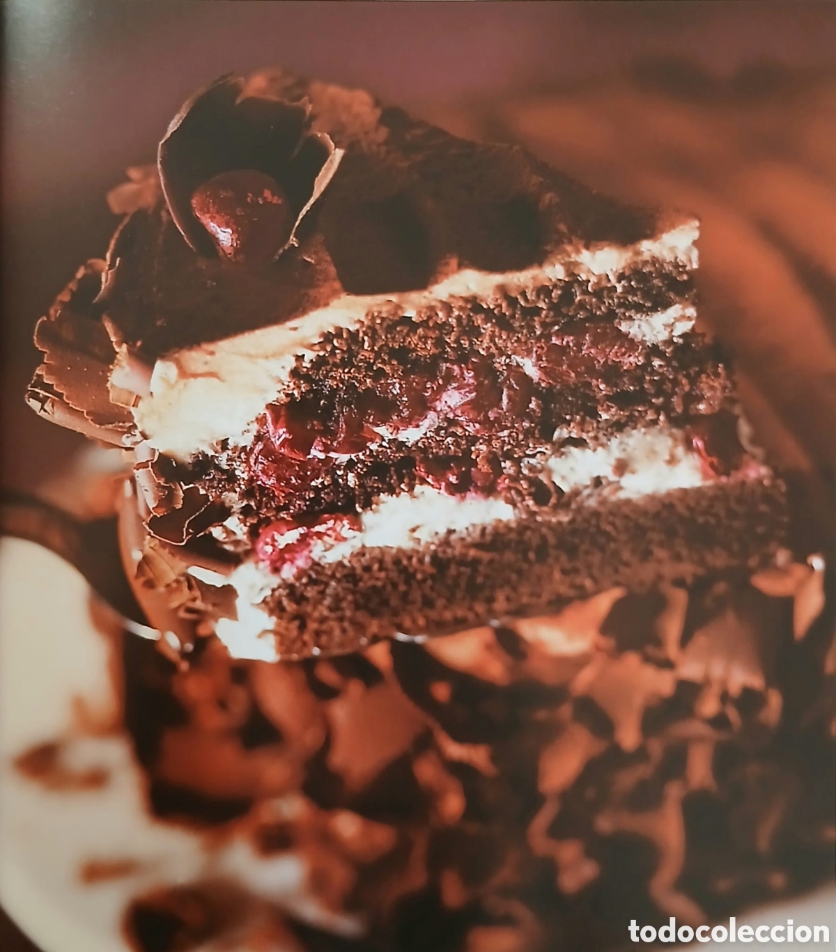 Libros: Mis 100 recetas de chocolate - Foto 9