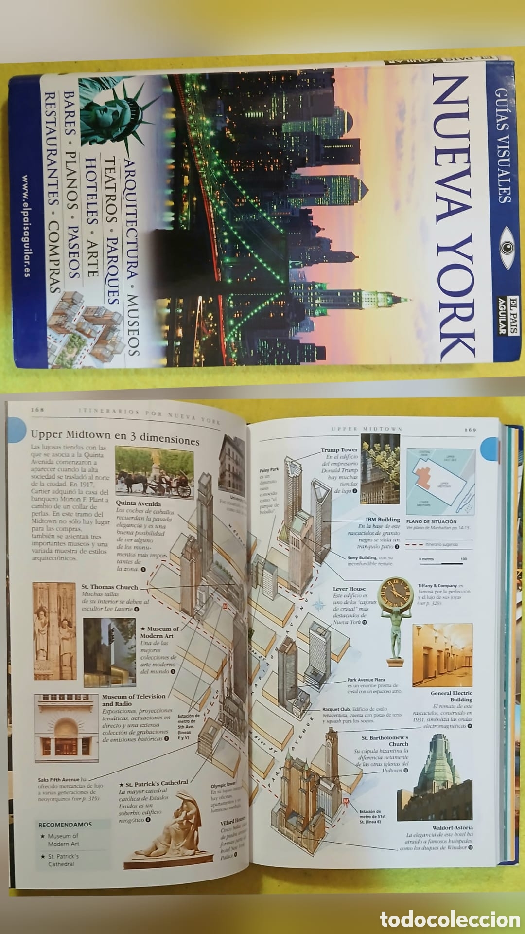 Libros: Nueva York, pa&iacute;s aguilar - Foto 1