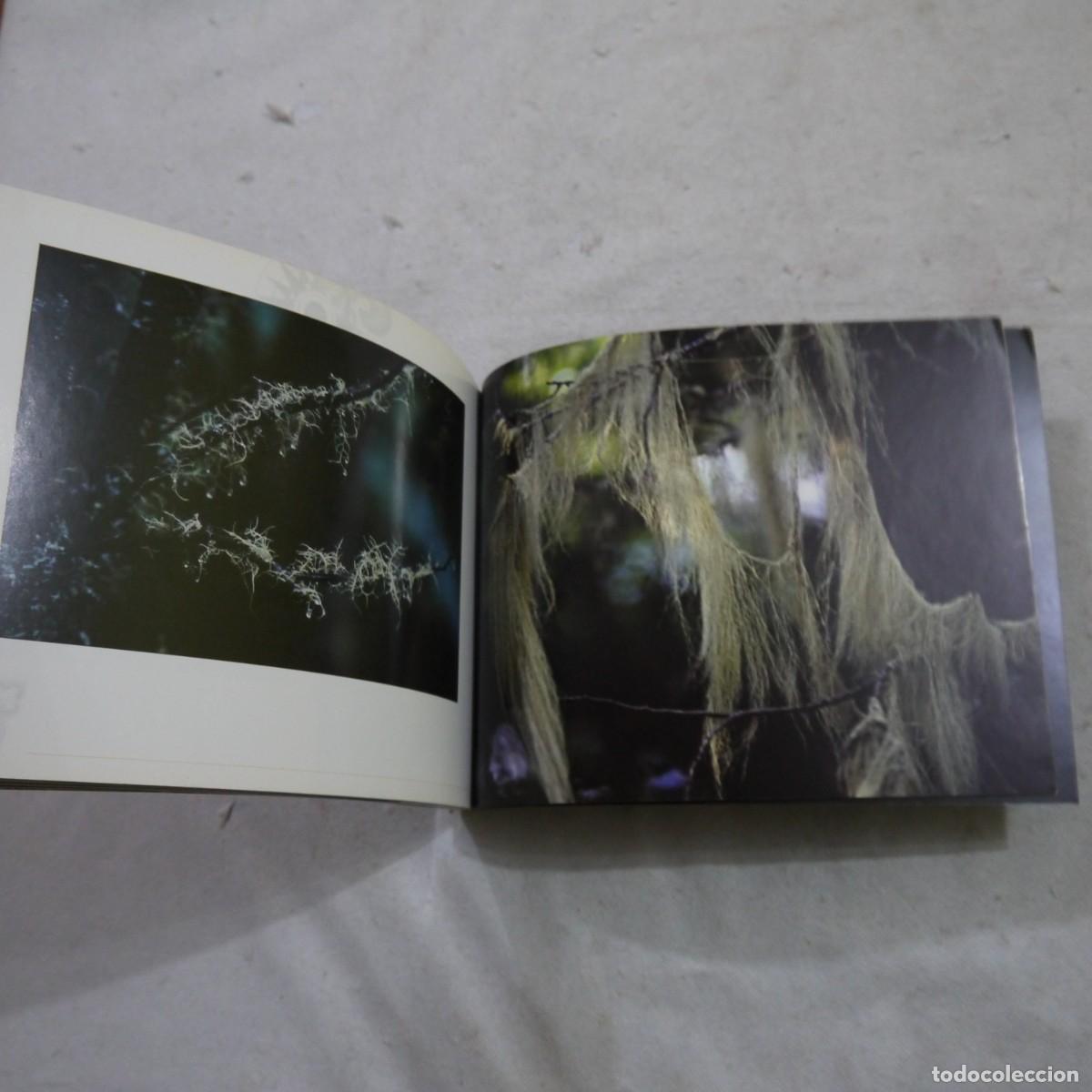 Libros: LA &Uacute;LTIMA TIERRA / THE LAS LAND - ESPA&Ntilde;OL E INGLES - Foto 13