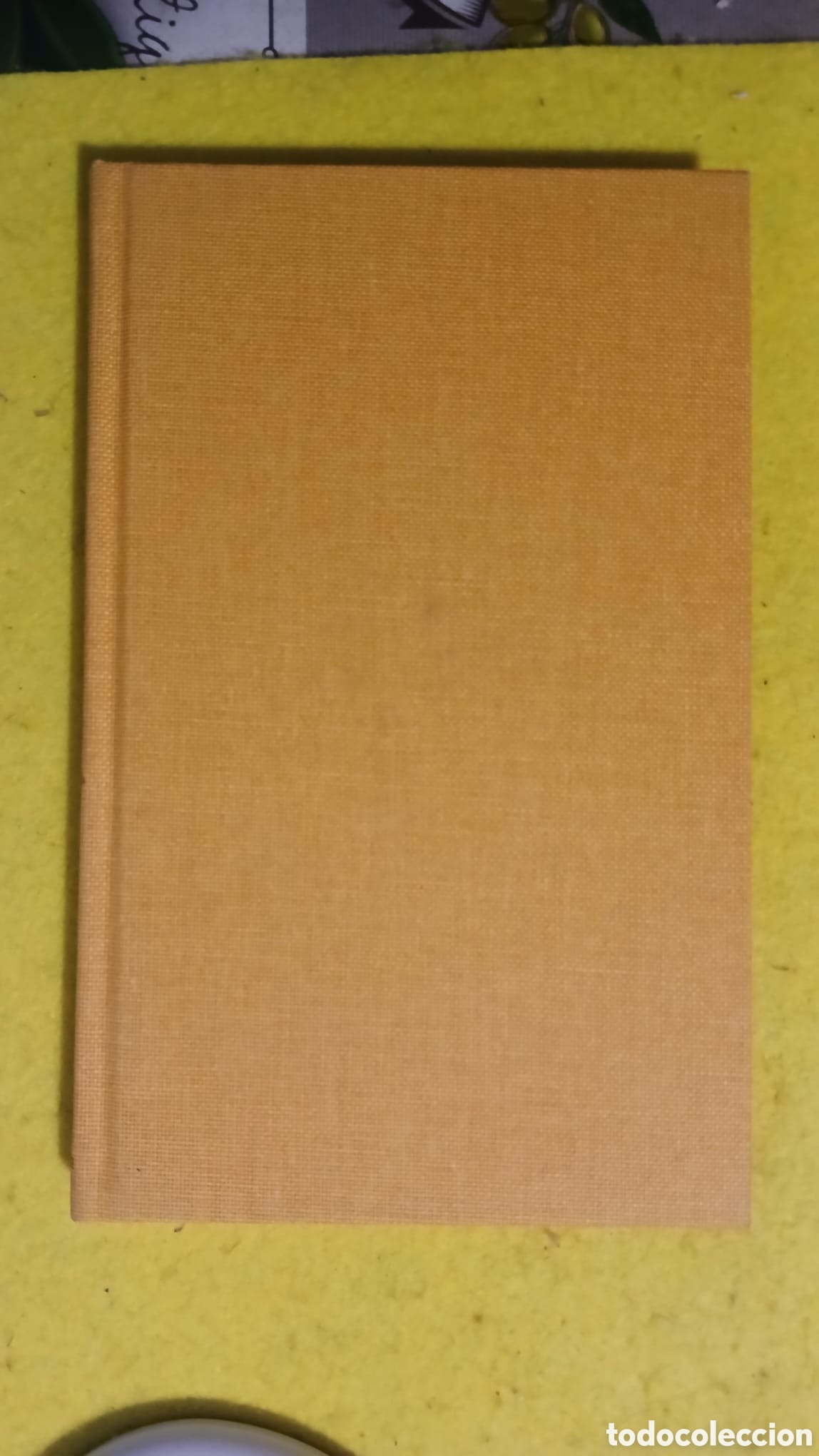 Libros: Cicer&oacute;, Catilin&agrave;ries - Foto 3