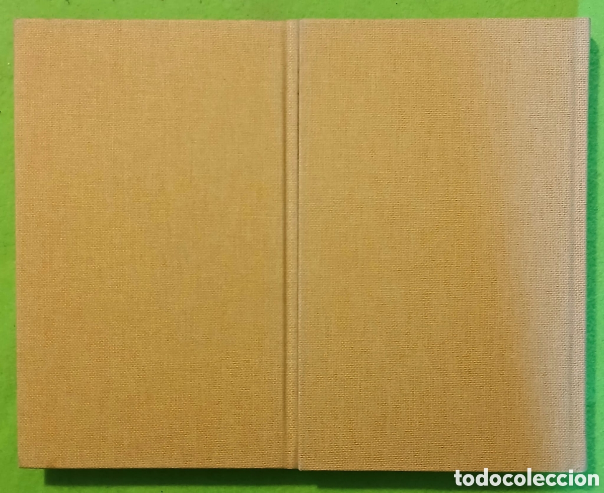 Libros: Ovidi, les metamorfosis - Foto 2