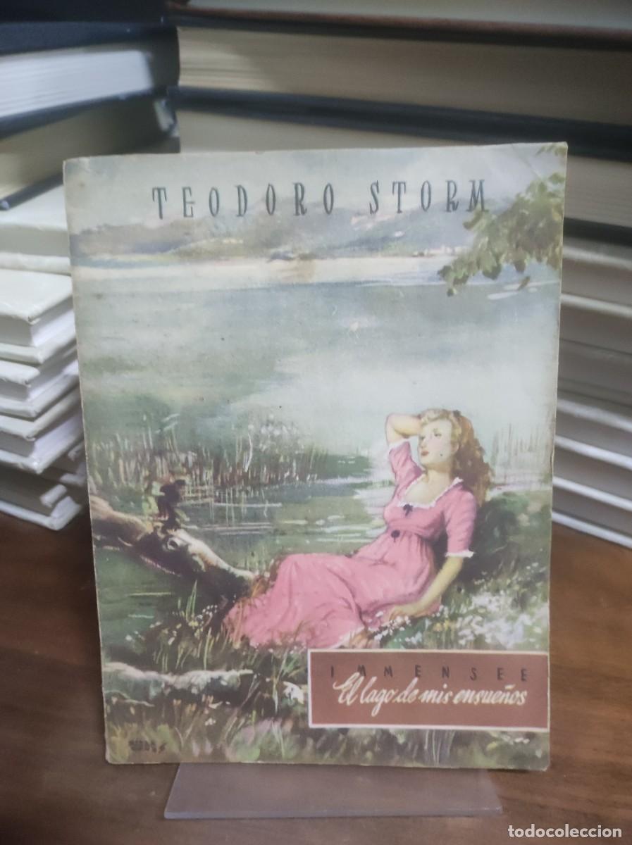 Libros: Immensee / El lago de mis ensue&ntilde;os Teodoro Storm - Foto 1