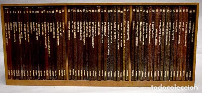 Libros: Cuadernos de campo. Colecci&oacute;n completa.- Rodr&iacute;guez de la Fuente, F&eacute;lix