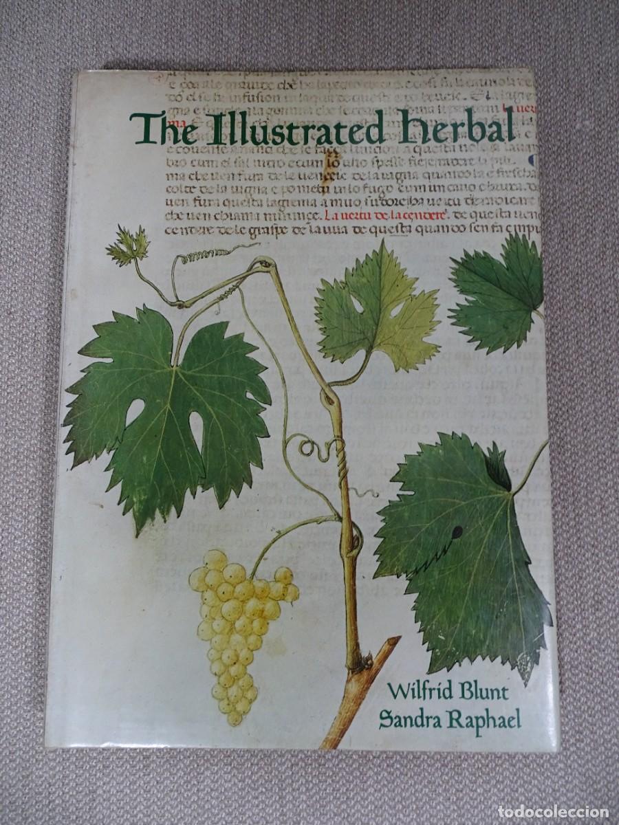 Libros: Wilfrid Blunt, Sandra Raphael: The illustrated herbal. Libro en ingl&eacute;s - Foto 1