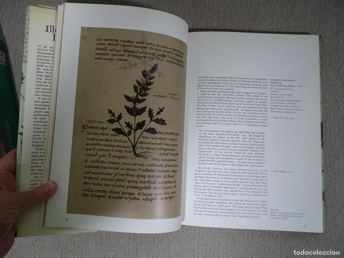 Libros: Wilfrid Blunt, Sandra Raphael: The illustrated herbal. Libro en ingl&eacute;s - Foto 3