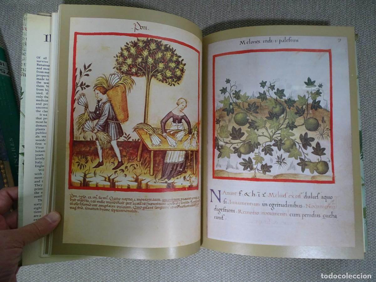 Libros: Wilfrid Blunt, Sandra Raphael: The illustrated herbal. Libro en ingl&eacute;s - Foto 4