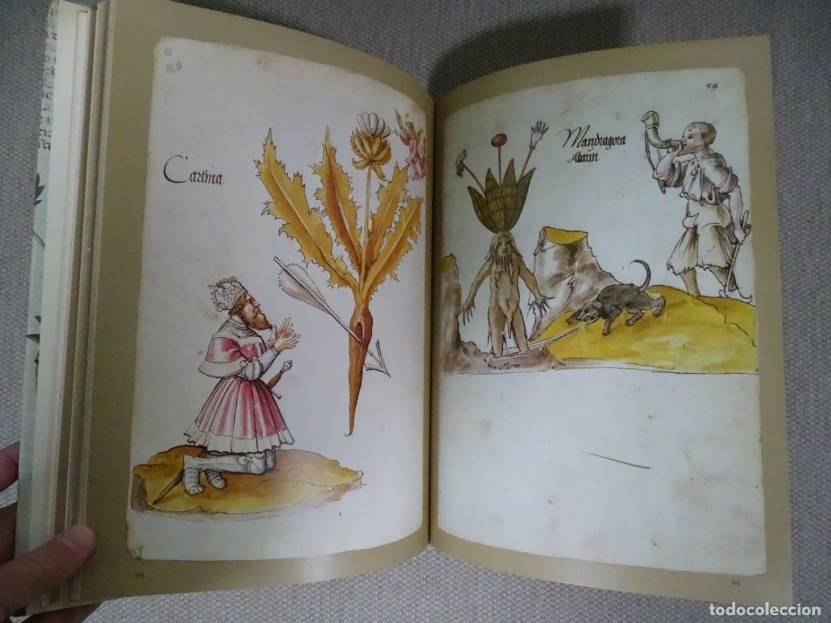 Libros: Wilfrid Blunt, Sandra Raphael: The illustrated herbal. Libro en ingl&eacute;s - Foto 6