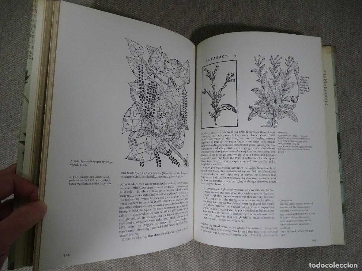 Libros: Wilfrid Blunt, Sandra Raphael: The illustrated herbal. Libro en ingl&eacute;s - Foto 7