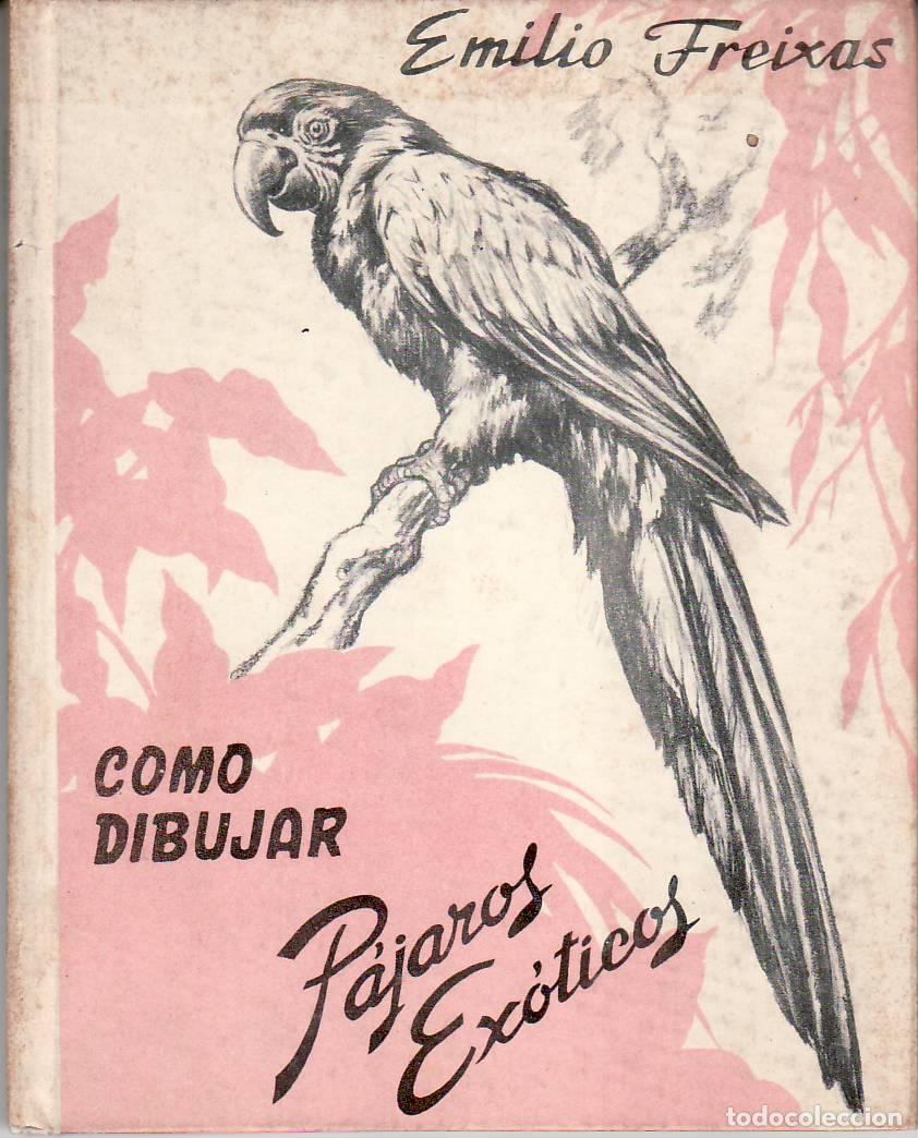 Libri di seconda mano: FREIXAS, Emilio.- - C&oacute;mo dibujar: P&aacute;jaros ex&oacute;ticos.