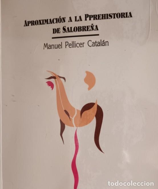 Libros: Aproximaci&oacute;n a la prehistoria de Salobre&ntilde;a. - Pellicer Catal&aacute;n, Manuel