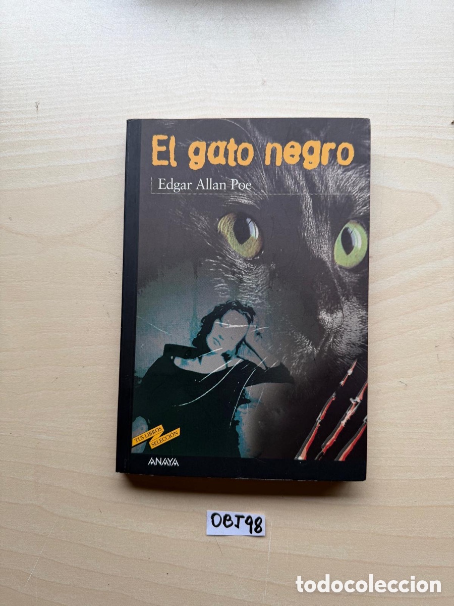 Libros: Libro el gato negro tapa dura - Foto 1