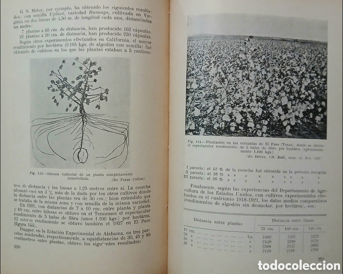 Libros: M.A. BATTISTEL EL ALGODON - Foto 5