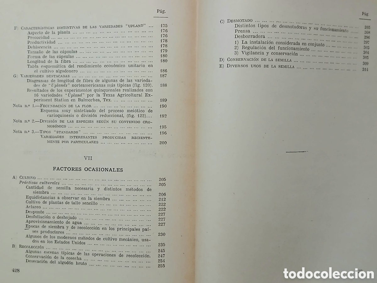 Libros: M.A. BATTISTEL EL ALGODON - Foto 7