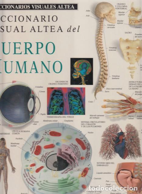 Libros: DICCIONARIO VISUAL ALTEA DEL CUERPO HUMANO - ALTEA - Foto 1