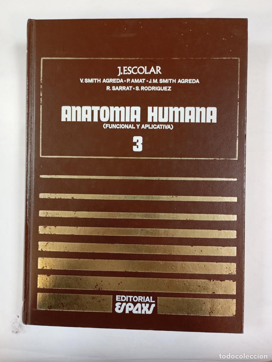 Libros: Anatom&iacute;a humana. Funcional y aplicativa. Tomo 3. - Jos&eacute; Escolar Garc&iacute;a. TDK