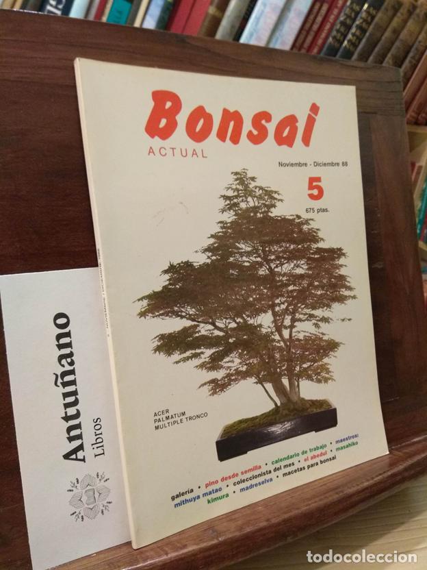Libros: Bonsai actual n&ordm;5