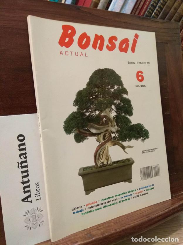Libros: Bonsai actual n&ordm;6
