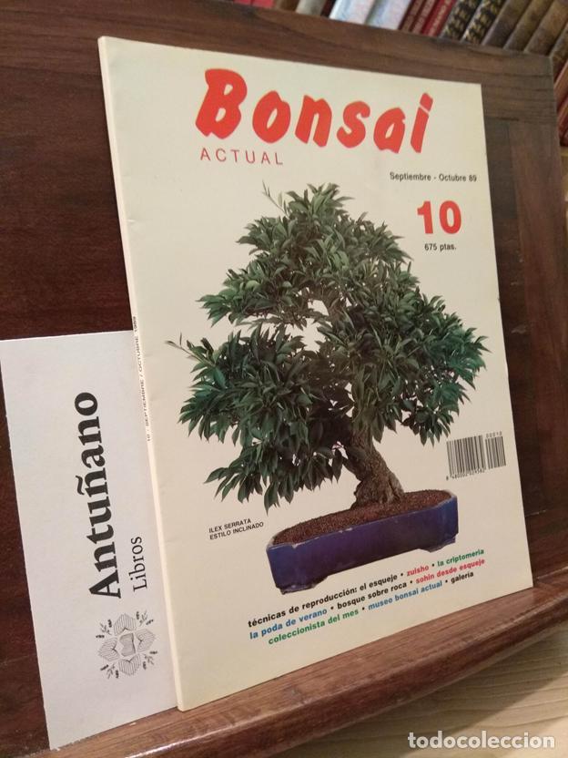 Libros: Bonsai actual n&ordm;10
