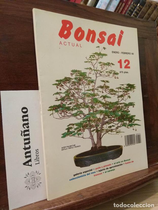 Libros: Bonsai actual n&ordm;12