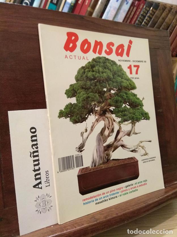 Libros: Bonsai actual n&ordm;17