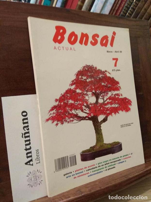 Libros: Bonsai actual n&ordm;7