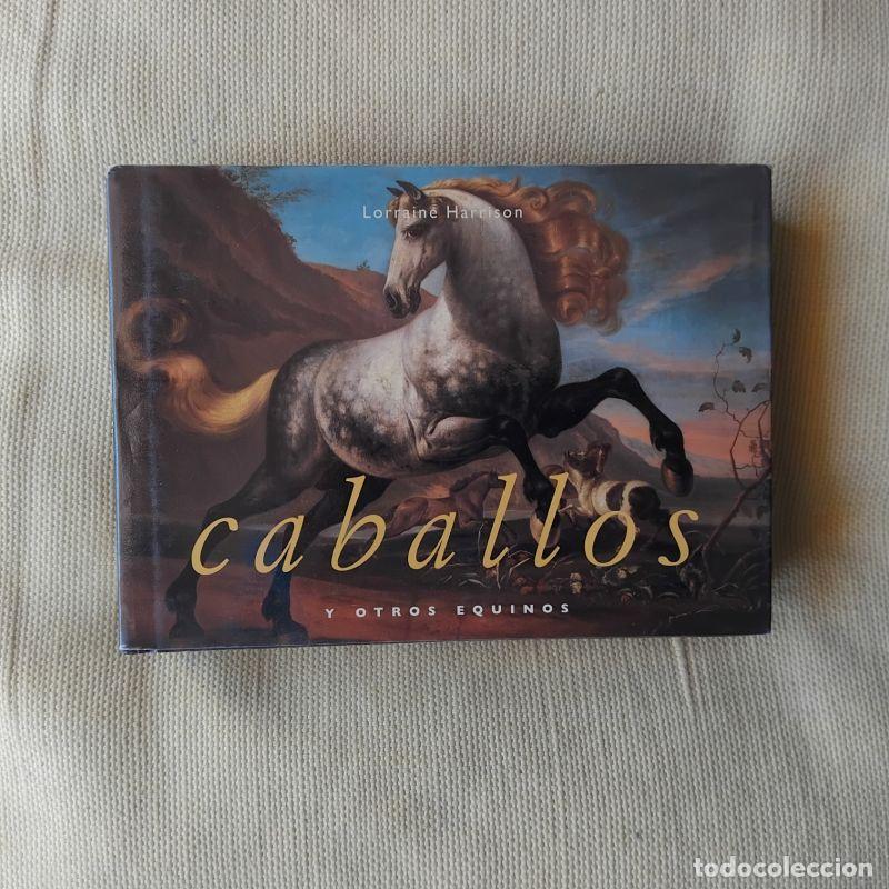 Libros: Caballos y otros equinos - Lorraine Harrison - Foto 1
