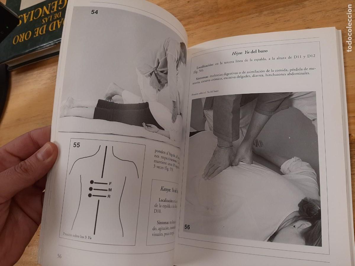 Libros: Curso de Shiatsu - Mario Vatrini - Editorial De Vecchi, 1998 - Foto 9