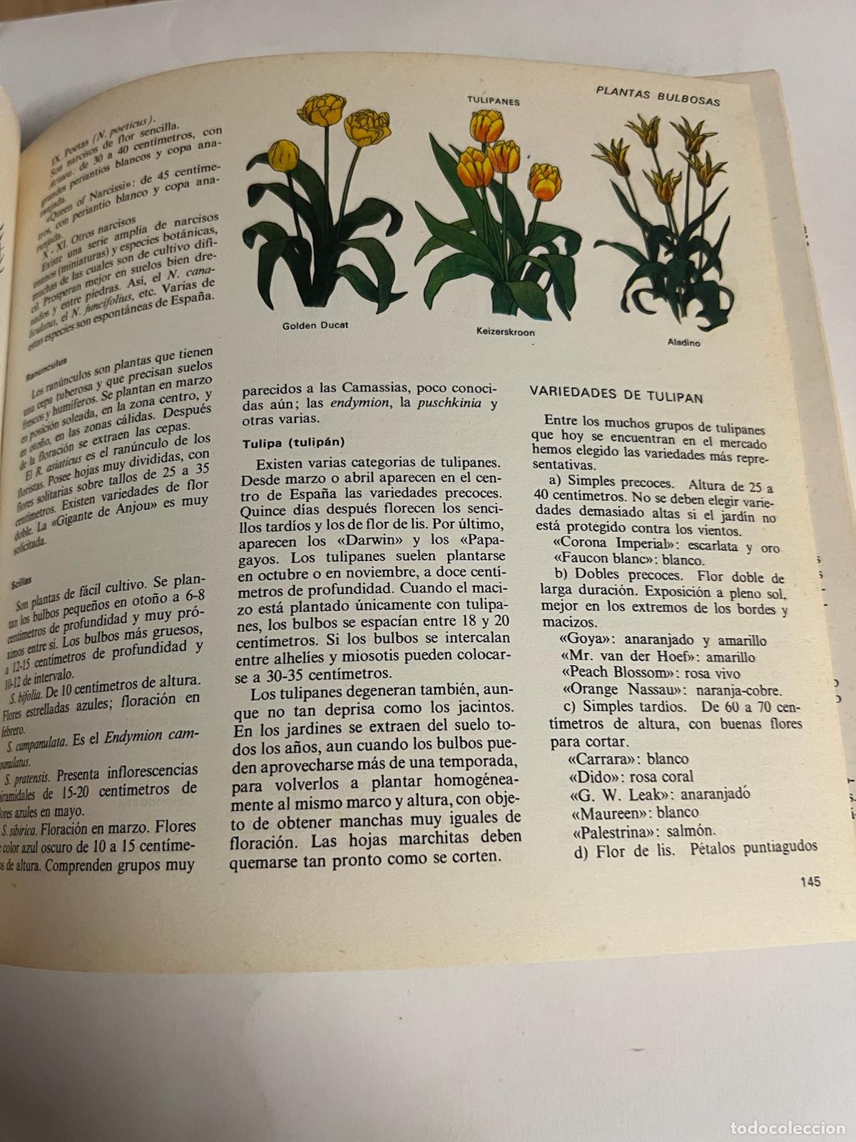 Libros: El libro del jardin y de la terraza - Foto 4