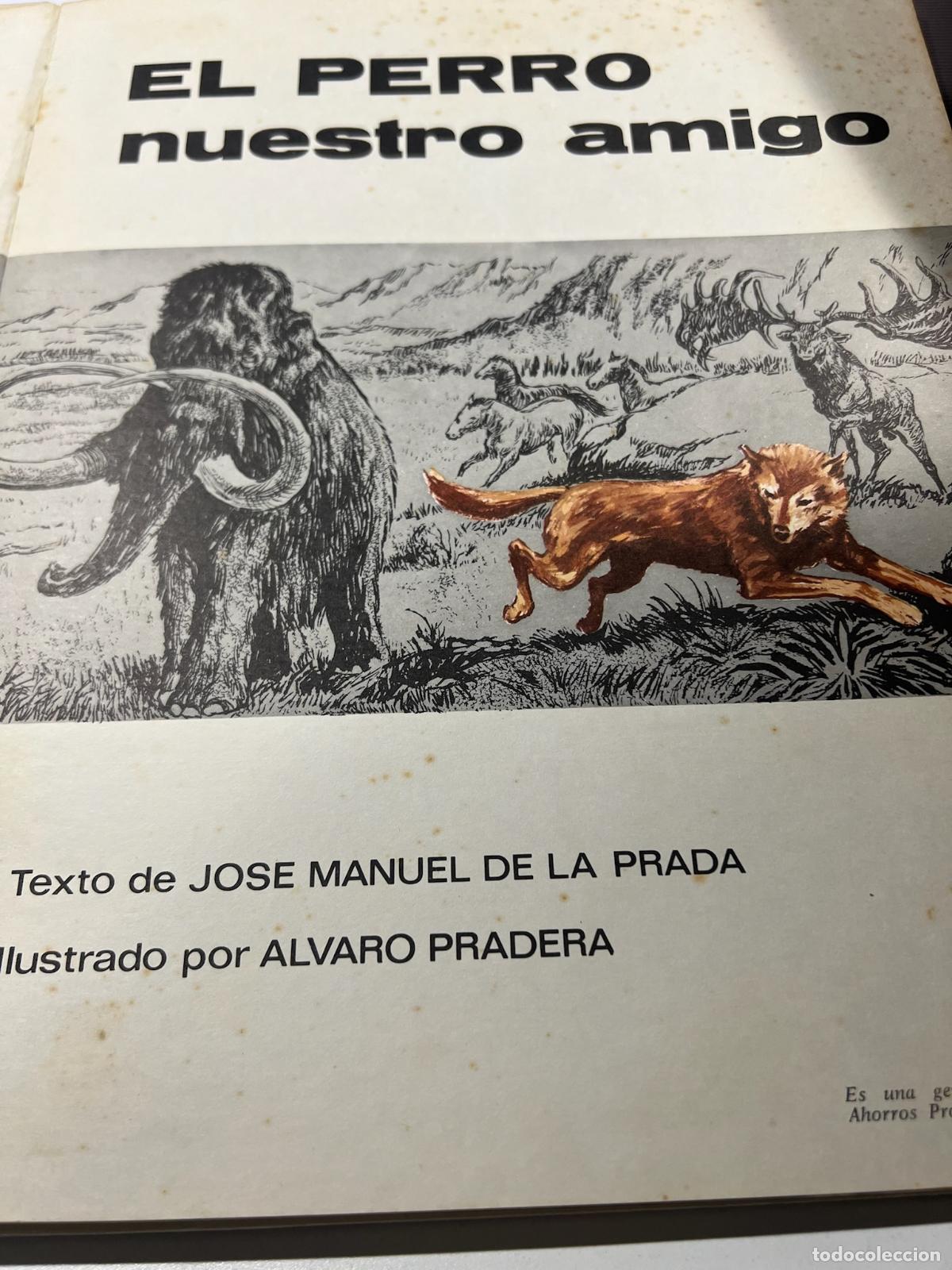 Libros: El perro nuestro amigo - Jose manuel de la prada - Foto 2