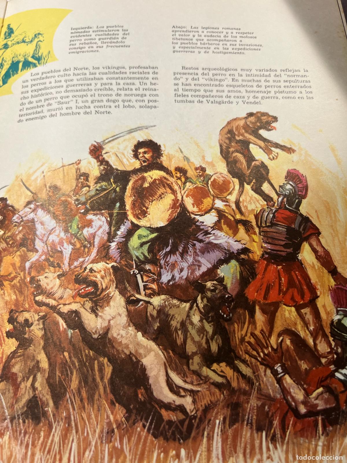 Libros: El perro nuestro amigo - Jose manuel de la prada - Foto 3