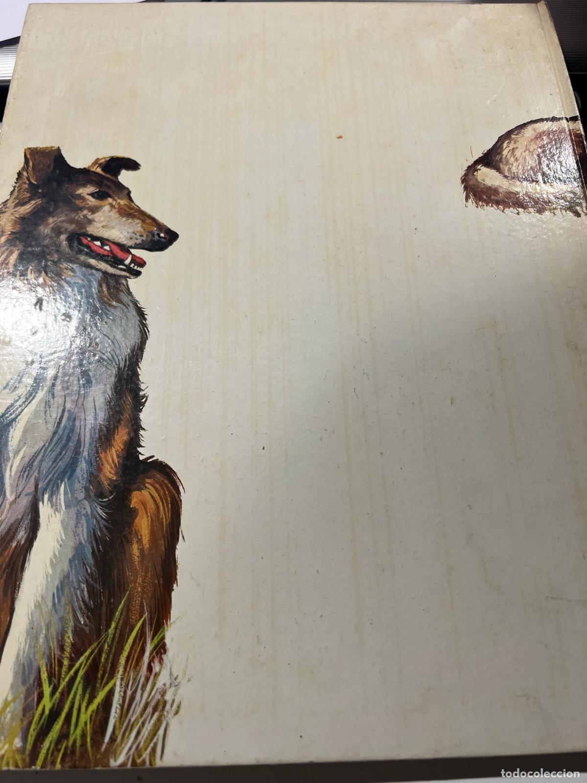 Libros: El perro nuestro amigo - Jose manuel de la prada - Foto 4