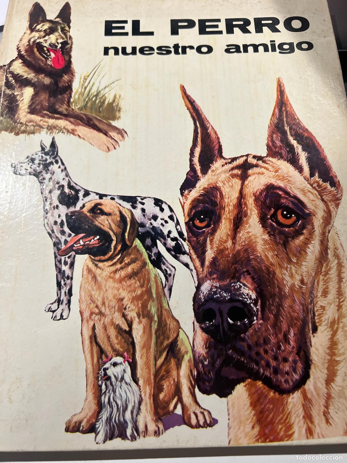 Libros: El perro nuestro amigo - Jose manuel de la prada - Foto 1