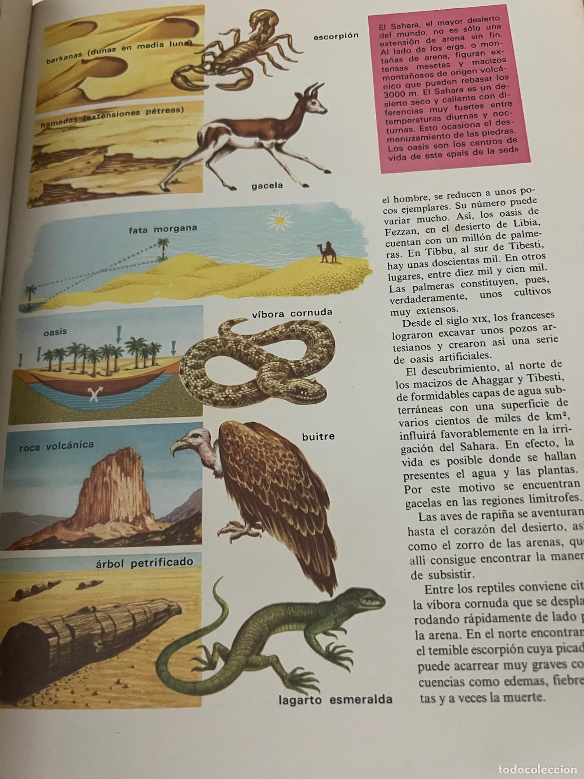 Libros: Enciclopedia juvenil A - Zeta (6 tomos) - Foto 5