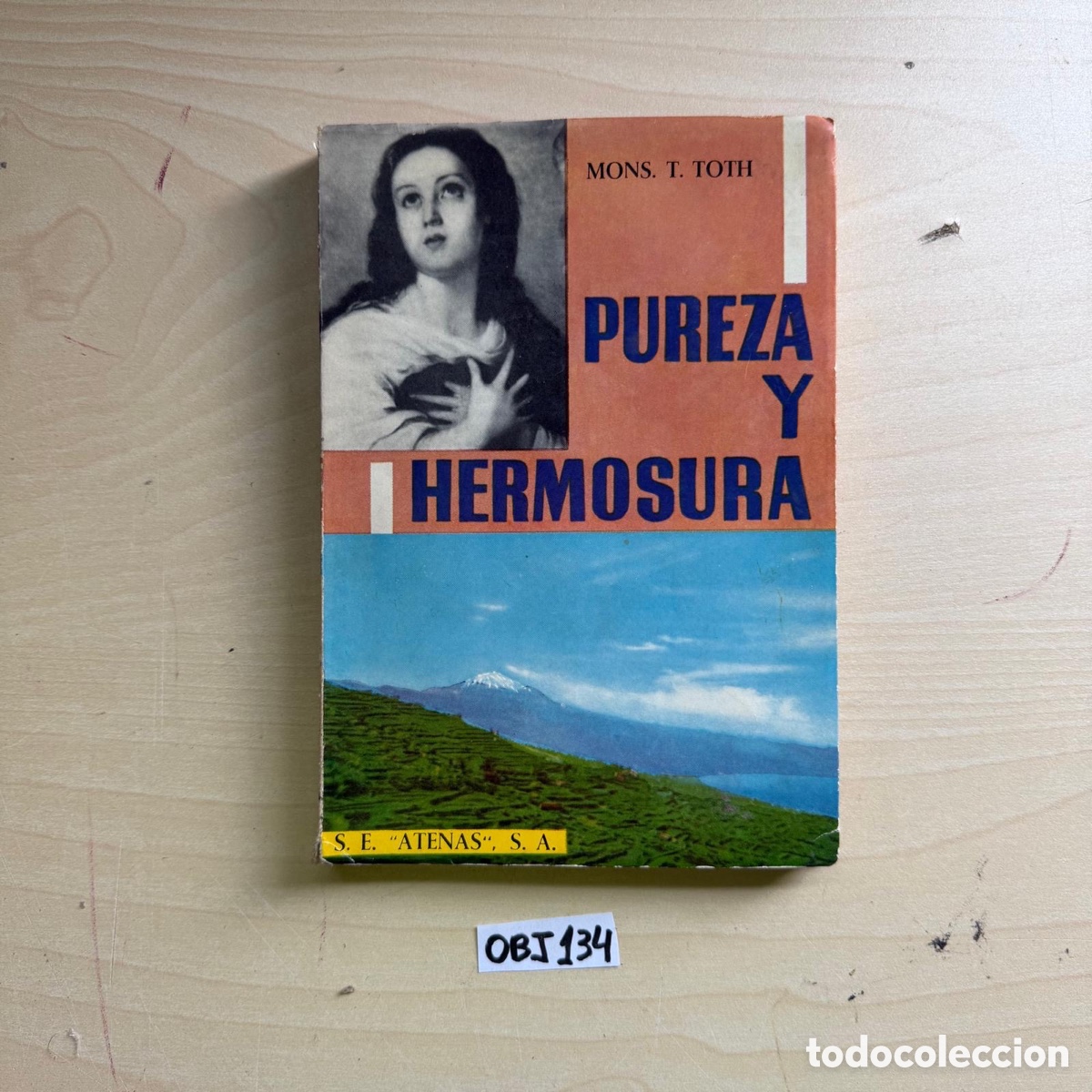 Libros: PUREZA Y I HERMOSURA - Foto 1